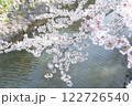 桜の花びらが舞う川 122726540
