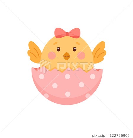Little chicken hatched from an egg. Little chicken hatched from an egg. 122726903