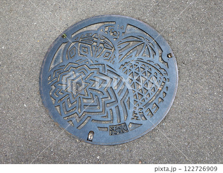 マンホール 汚水 和歌山市 マンホール 汚水 和歌山市 122726909