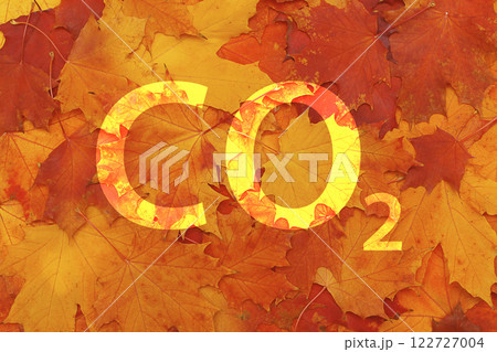 Carbon dioxide absorption concept. CO2 inscription on autumn leaves isolated on white background Carbon dioxide absorption concept. CO2 inscription on autumn leaves isolated on white background 122727004