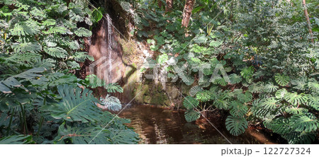Lush garden and water feature in La Concepcion, Malaga, Spain 122727324