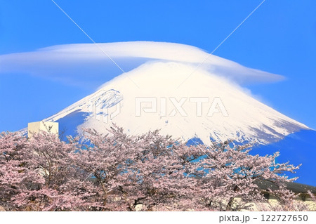 【静岡県】珍しい笠雲の富士山と満開の桜 【静岡県】珍しい笠雲の富士山と満開の桜 122727650