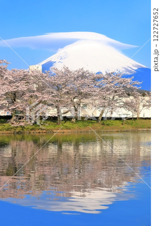 【静岡県】珍しい笠雲の富士山と満開の桜 122727652
