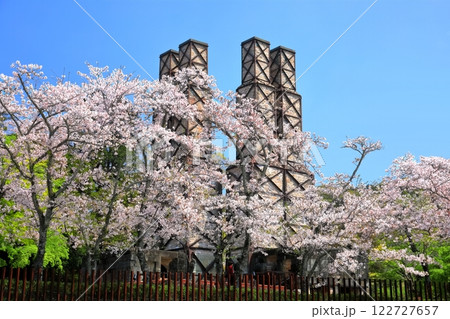 【静岡県】快晴の韮山反射炉と満開の桜 122727657