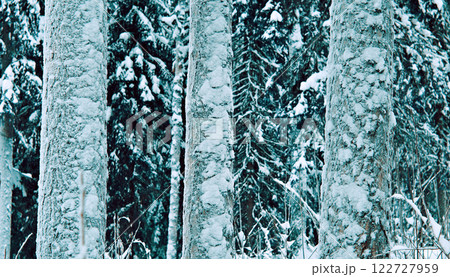 Winter landscape Winter landscape 122727959