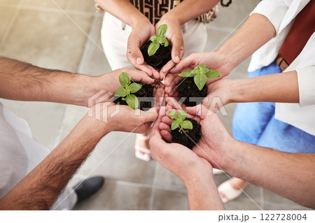 Hands, plant and sustainability in a group of people together in a circle or huddle. Community collaboration for growth, trust and eco friendly agriculture with soil, dirt and hope and green plants 122728004
