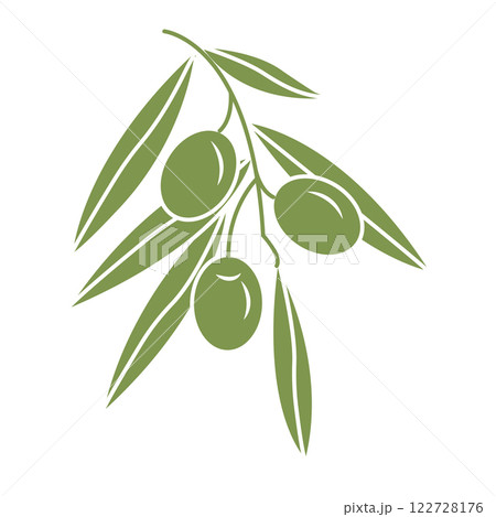 Olive branch with fruits in doodle style. Vector illustration isolated on white background. 122728176