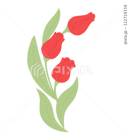 Bouquet tulips. Spring flowers on white background. Vector illustration. Springtime and festive concept. Design for greeting card, invitation, postcard, banner, poster 122729158