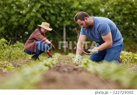 Sustainability farmer, plant growth or environment accountability workers planting green eco plants in earth or soil. Couple, man or garden woman on agriculture farm, countryside field or nature land 122729302
