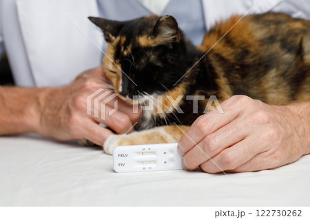 Negative diagnostic test and healthy cat pet in veterinarian indoor Negative diagnostic test and healthy cat pet in veterinarian indoor 122730262