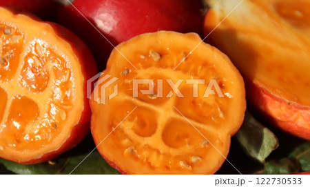 食べ頃のタマリロ 122730533