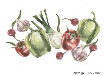 Vegetables watercolor banner with fresh pepper, garlic, red tomato and onion shallot, peace illustration. Hand drawn vegan food clipart for placemat, packing, grocery label, logo design 122730656