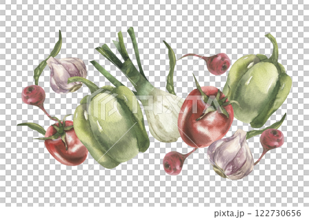 Vegetables watercolor banner with fresh pepper, garlic, red tomato and onion shallot, peace illustration. Hand drawn vegan food clipart for placemat, packing, grocery label, logo design 122730656
