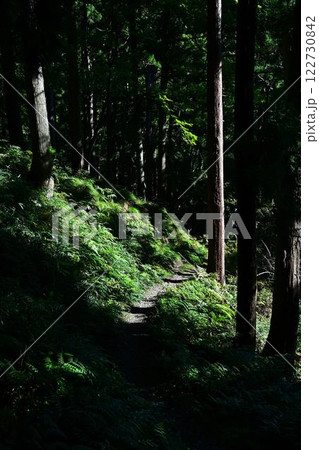 賤ヶ岳の登山道 122730842