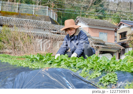 畑作業をする女性　田舎暮らし　家庭菜園 122730955