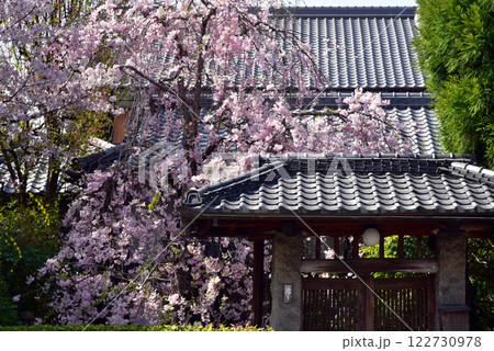 京都 白沙村荘 橋本関雪記念館 京都 白沙村荘 橋本関雪記念館 122730978