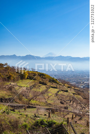フルーツラインより甲府盆地と富士山を望む【山梨市】 フルーツラインより甲府盆地と富士山を望む【山梨市】 122731022
