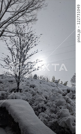 雪の中之条ガーデンズ　群馬県 122731049
