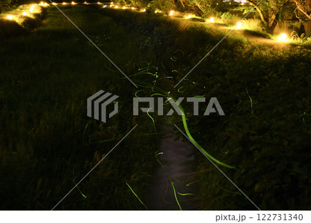 【滋賀】ほたる祭り、地元の方が蛍の環境を守ってくれています。地元の方から熱い思いを聞く事ができました 122731340