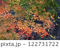 渓谷の岸辺で、黄色に紅葉したもみじ 122731722