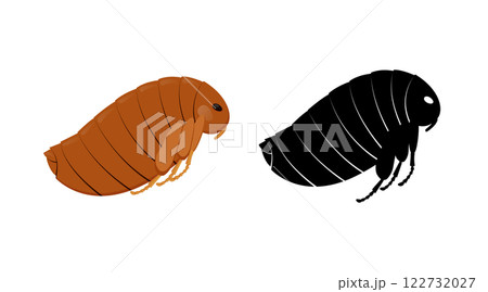 Flea insect and its silhouette showing segmented body, legs and large eye 122732027