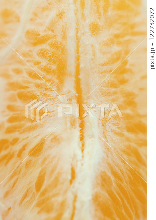 Detailed close-up photo of juicy orange slices. Citrus fruit macro photo Detailed close-up photo of juicy orange slices. Citrus fruit macro photo 122732072