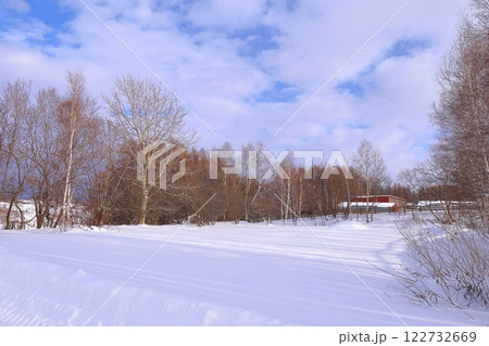 《北海道》冬の北海道 立ち木と雪景色 《北海道》冬の北海道 立ち木と雪景色 122732669