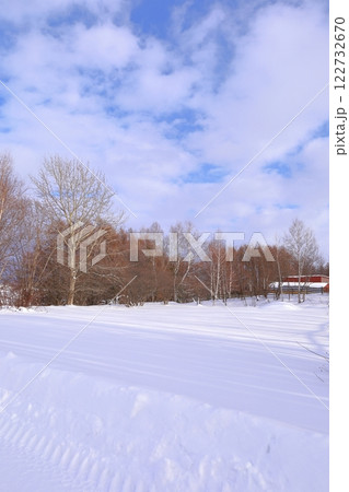 《北海道》冬の北海道　立ち木と雪景色 122732670