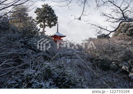 雪化粧した清水寺の子安塔 雪化粧した清水寺の子安塔 122733104
