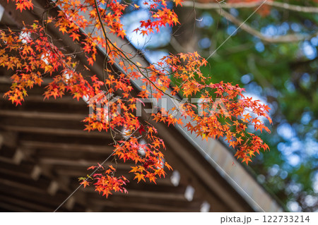 【第八十八番札所】大窪寺の紅葉【四国八十八箇所】 【第八十八番札所】大窪寺の紅葉【四国八十八箇所】 122733214