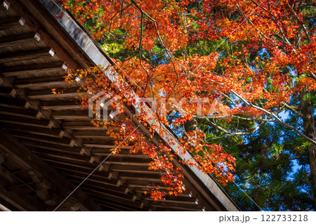 【第八十八番札所】大窪寺の紅葉【四国八十八箇所】 【第八十八番札所】大窪寺の紅葉【四国八十八箇所】 122733218