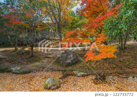 浜松市の秋の浜松城公園の紅葉の風景(静岡県) 122733772