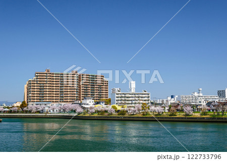 毛馬橋から北側の風景 大川沿いの桜と街並み 毛馬橋から北側の風景 大川沿いの桜と街並み 122733796