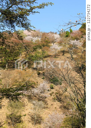 桜の名所・吉野山 桜の名所・吉野山 122734272