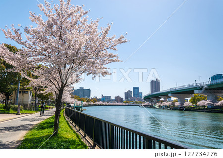 大阪市 毛馬桜之宮公園 大川沿いの桜並木 122734276