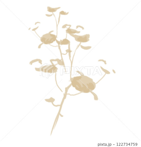 Brush  122734759