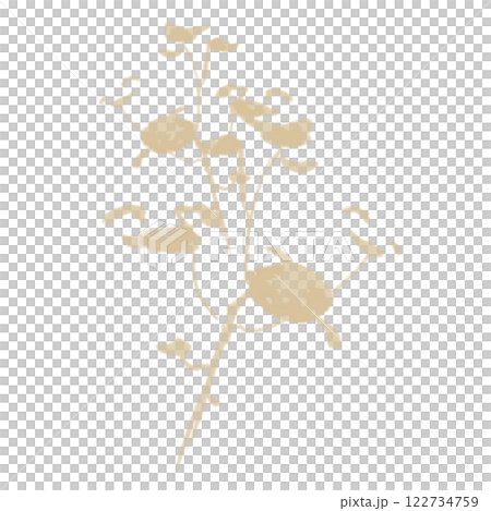Brush  122734759