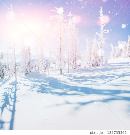 winter landscape trees and fence in hoarfrost, background with some soft highlights and snow flakes 122735361