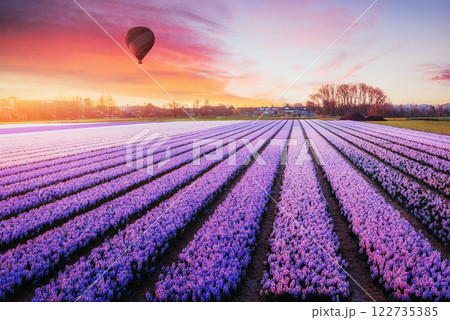 A beautiful field of flowers in Holland. Balloons in the background. Fantastic spring event A beautiful field of flowers in Holland. Balloons in the background. Fantastic spring event 122735385