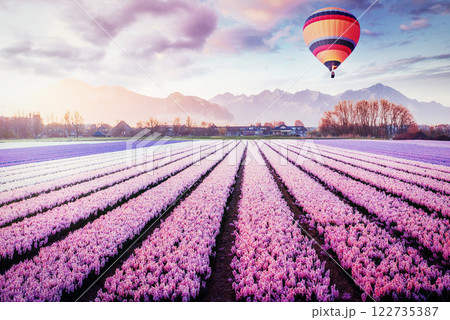 A beautiful field of flowers in Holland. Balloons in the background. Fantastic spring event A beautiful field of flowers in Holland. Balloons in the background. Fantastic spring event 122735387