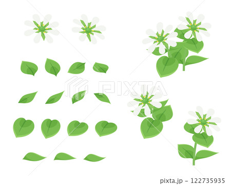 ハコベの花と葉っぱのイラスト素材セット 122735935