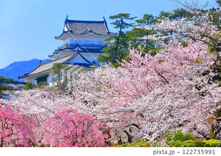 【神奈川県】快晴の小田原城 天守閣と満開の桜 122735991