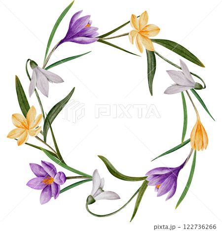 wreath with crocus and snowdrop flowers, watercolor illustration, isolated on white. Hand drawn botanical frame with space for text. Template for cards, logos, prints, wedding design wreath with crocus and snowdrop flowers, watercolor illustration, isolated on white. Hand drawn botanical frame with space for text. Template for cards, logos, prints, wedding design 122736266