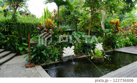 Tropical plants of balinese garden at Ubud 122736806