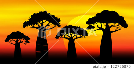 Sunset in Africa, savanna landscape background. Baobab trees silhouette. Nature, exotic plant, African banner vector illustration Sunset in Africa, savanna landscape background. Baobab trees silhouette. Nature, exotic plant, African banner vector illustration 122736870