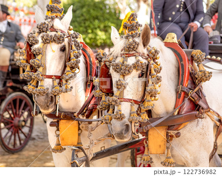 Elegant Horses Adorned for Seville April Fair Celebration Elegant Horses Adorned for Seville April Fair Celebration 122736982