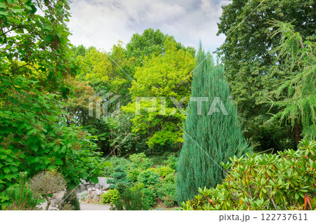 Beautiful garden with pine and deciduous trees. Beautiful garden with pine and deciduous trees. 122737611