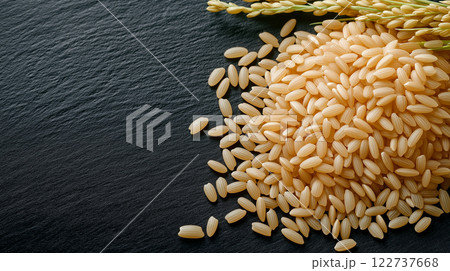 Fresh rice grains and rice plant on dark surface create natural feel Fresh rice grains and rice plant on dark surface create natural feel 122737668