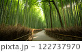 A photorealistic image of a dense bamboo 122737970