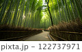 A photorealistic image of a dense bamboo 122737971